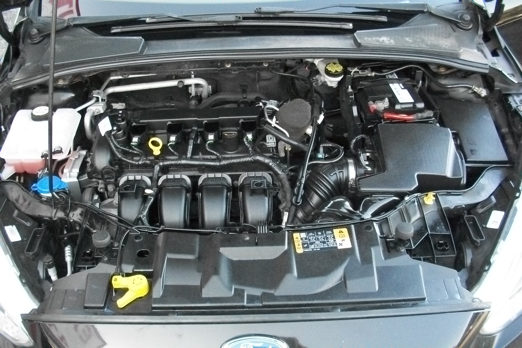 2015 Ford Focus SE Hatch
